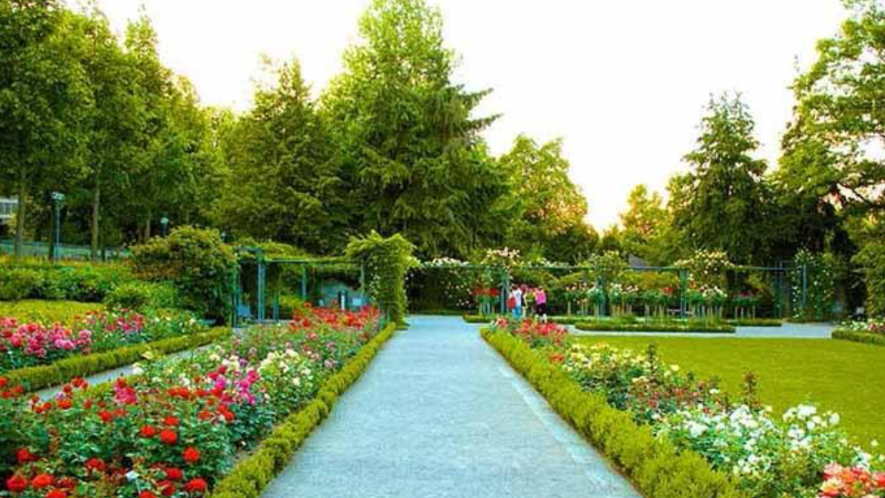 Zakir Hussain Rose Garden